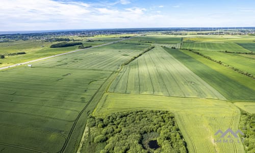 Bloc de terrain près de Palanga