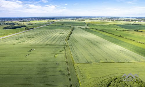 Grundstücksblock bei Palanga