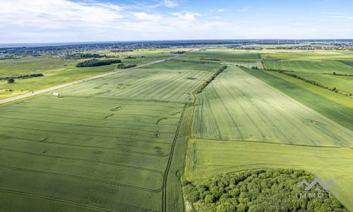 Bloc de terrain près de Palanga