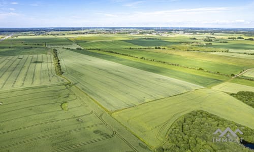 Bloc de terrain près de Palanga