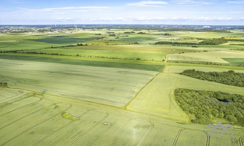 Bloc de terrain près de Palanga