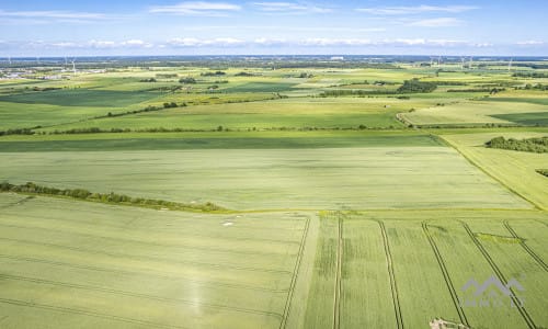 Bloc de terrain près de Palanga