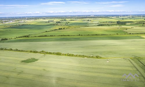 Bloc de terrain près de Palanga