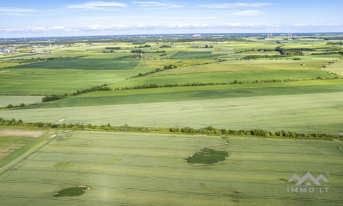 Bloc de terrain près de Palanga