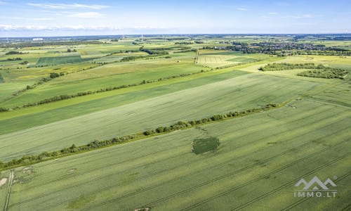 Bloc de terrain près de Palanga