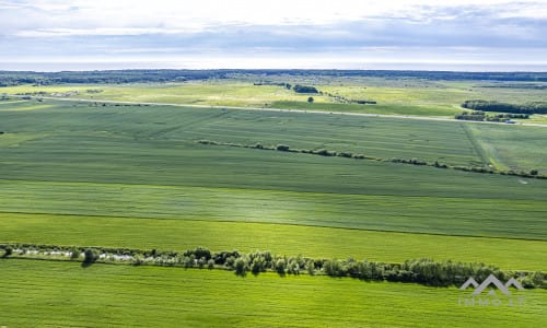 Bloc de terrain près de Palanga