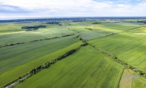 Plot Block Near Palanga