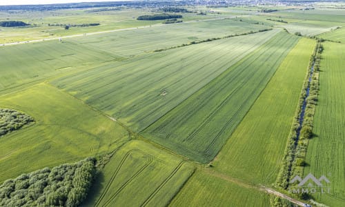 Bloc de terrain près de Palanga