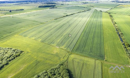 Grundstücksblock bei Palanga