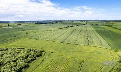 Bloc de terrain près de Palanga