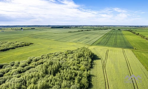 Grundstücksblock bei Palanga