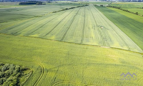 Plot Block Near Palanga