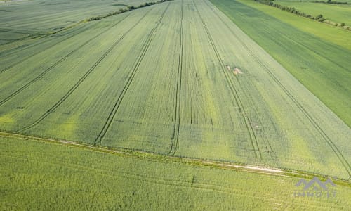 Grundstücksblock bei Palanga