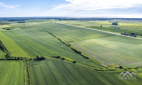 Bloc de terrain près de Palanga