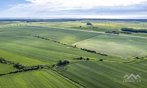 Bloc de terrain près de Palanga