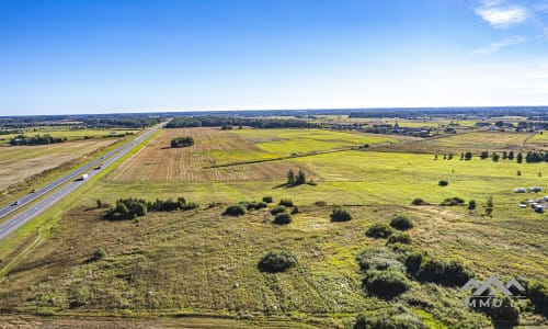 Un grand terrain à Šlapšilė