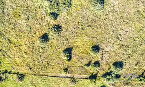 Superb Land Plot in Šlapšilė