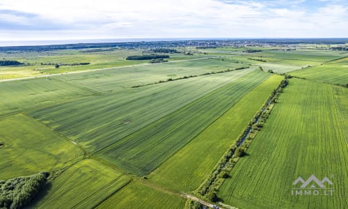 Bloc de terrain près de Palanga