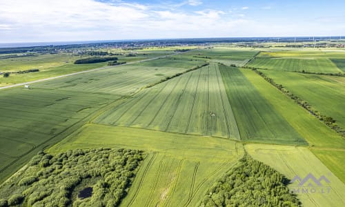 Bloc de terrain près de Palanga