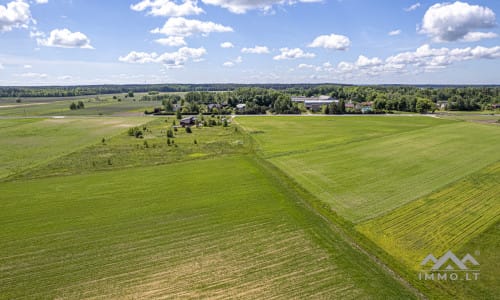 Investment Plot Near Šilutė