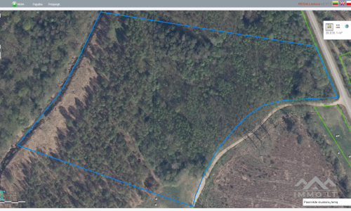 Land Plot With Forest