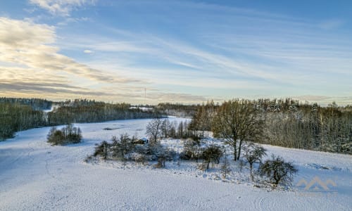 Old Homestead With a Forest