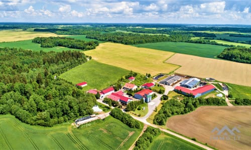 Ferme laitière à Samogitie