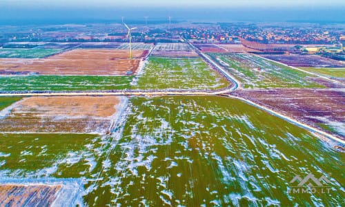 Land Plot Near Palanga