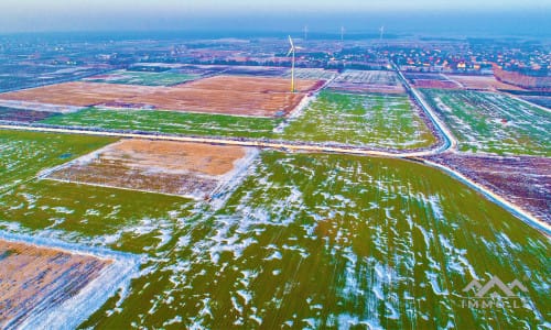 Un terrain près de Palanga