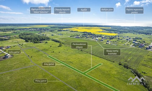 Land Plot in Dargužiai