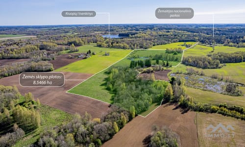 Grand terrain avec forêt