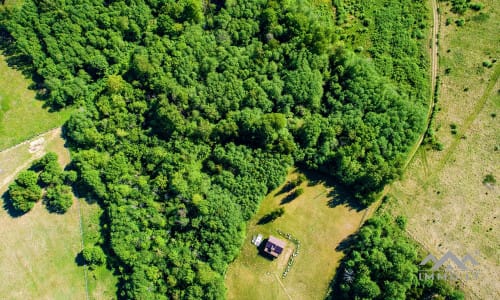 Ferme fantastique au bord du lac