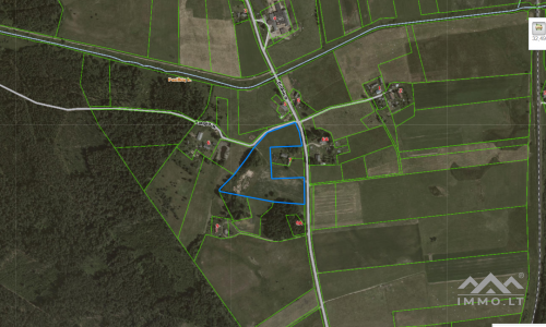 Land Plot With Forest