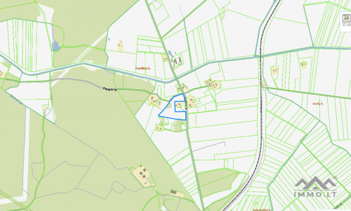 Land Plot With Forest