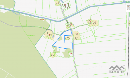 Land Plot With Forest