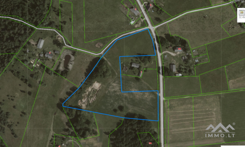 Land Plot With Forest