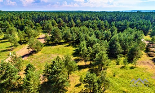 Žemės sklypas šalia Kuršių Marių