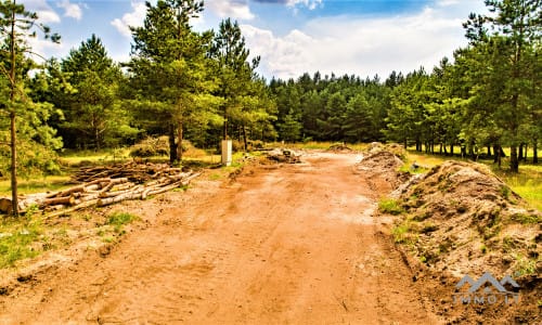 Plot of Land Near Curonian Lagoon