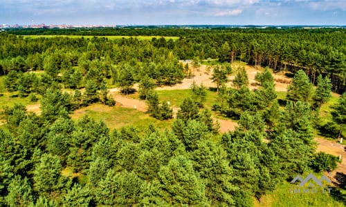 Un terrain près de la lagune de Courlande