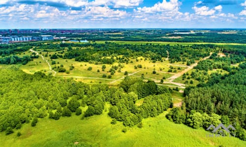 Un terrain près de la lagune de Courlande