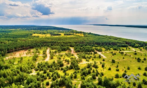 Un terrain près de la lagune de Courlande