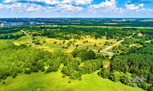 Un terrain près de la lagune de Courlande