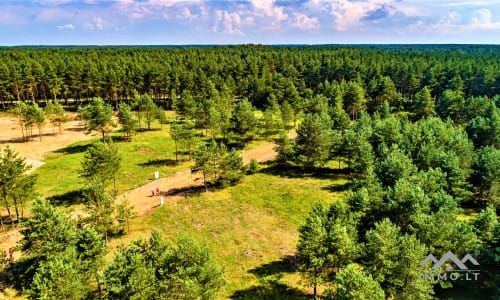 Un terrain près de la lagune de Courlande