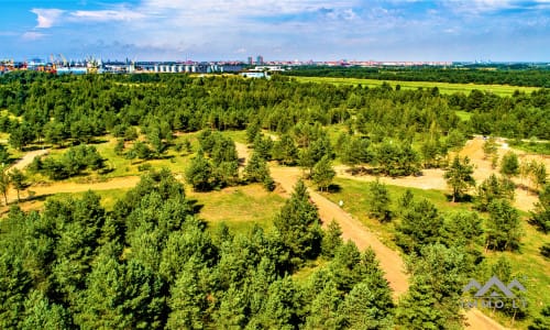 Un terrain près de la lagune de Courlande