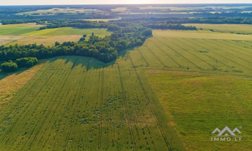 Une ancienne ferme à Samogitia