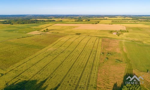 Ein altes Gehöft in Samogitien