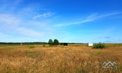 Baugrundstück in Nimmersatt