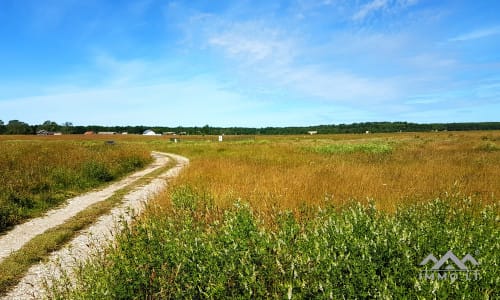 Baugrundstück in Nimmersatt