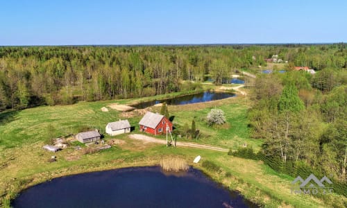 Une ferme exclusive entourée de forêts