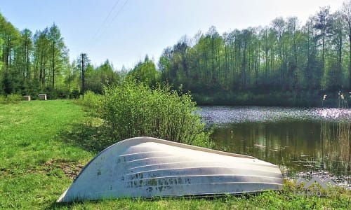 Une ferme exclusive entourée de forêts